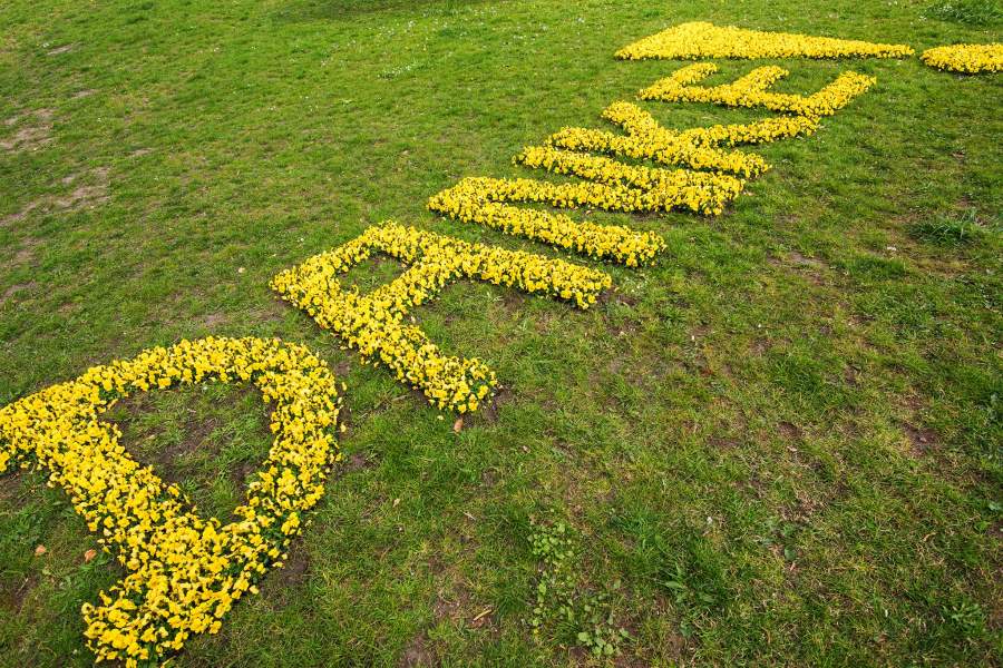 Благодарность врачам за работу во время коронавируса