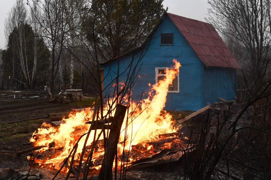 Лесные пожары в Новосибирской области