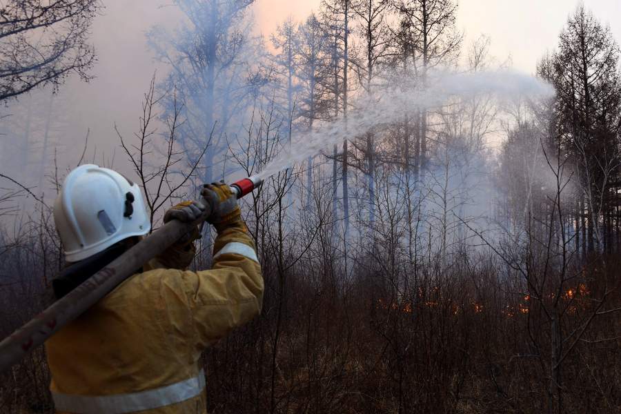 Лесные пожары в Забайкальском крае