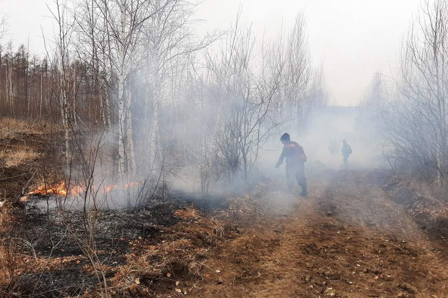 Лесные пожары в Забайкальском крае