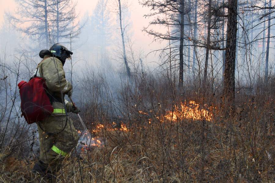 Лесные пожары в Забайкальском крае
