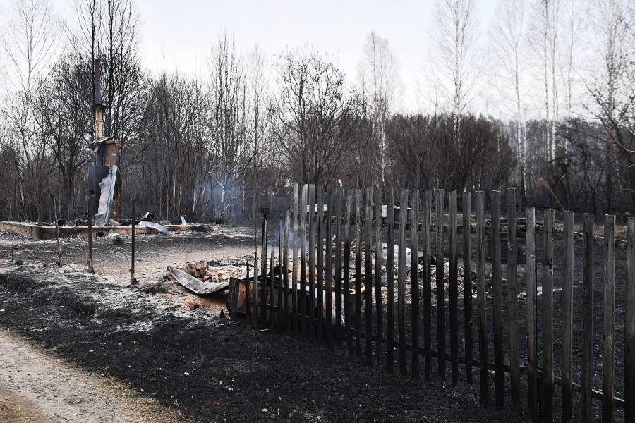 Лесные пожары в Новосибирской области