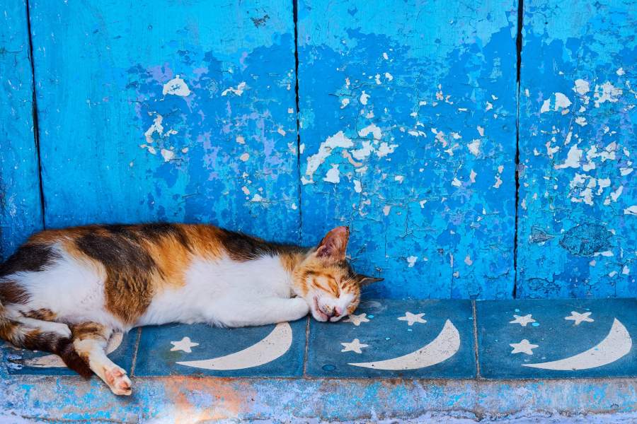 Город Шефшауэн