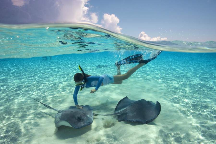 Подводный мир