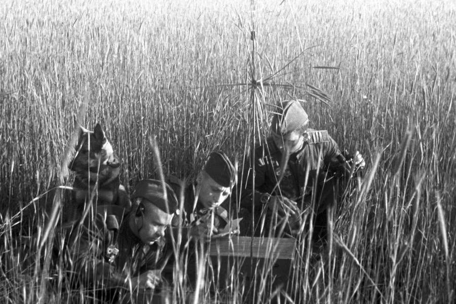 Радиосвязь в годы Великой Отечественной войны