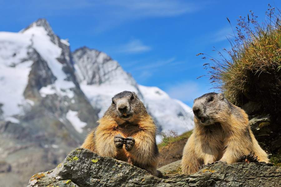 День национальных парков Европы