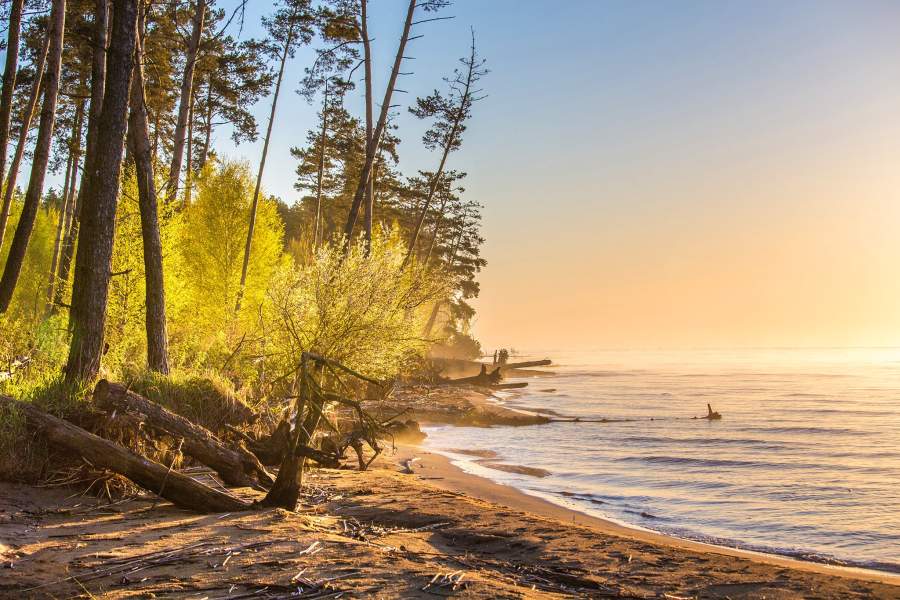 День национальных парков Европы