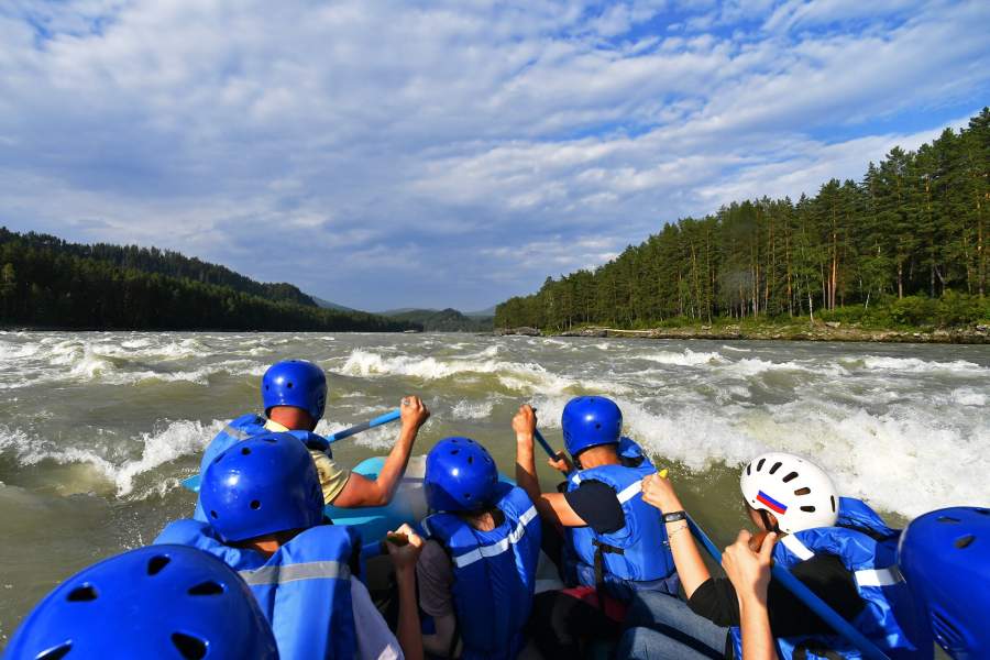 День снежного барса на Алтае