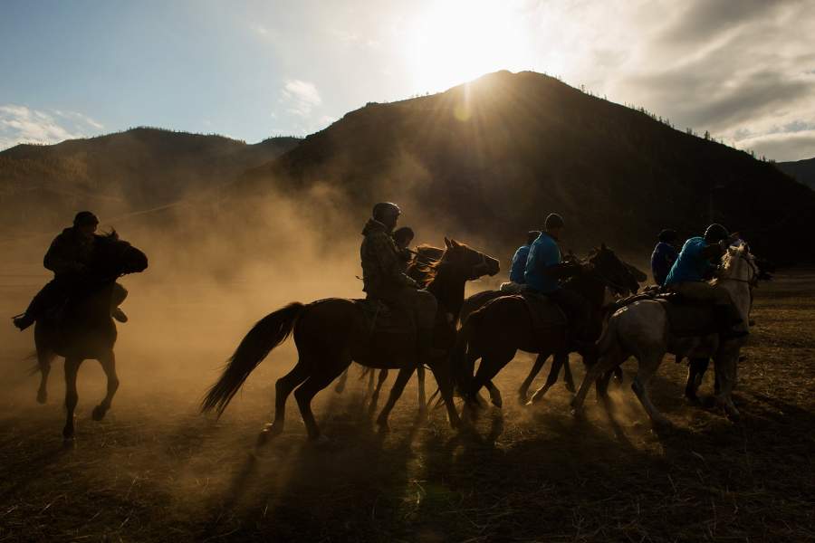 День снежного барса на Алтае