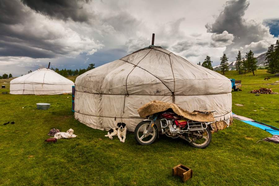 Кочевники Монголии