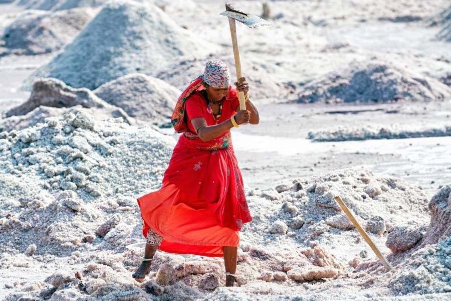 Добыча соли на озере Самбхар