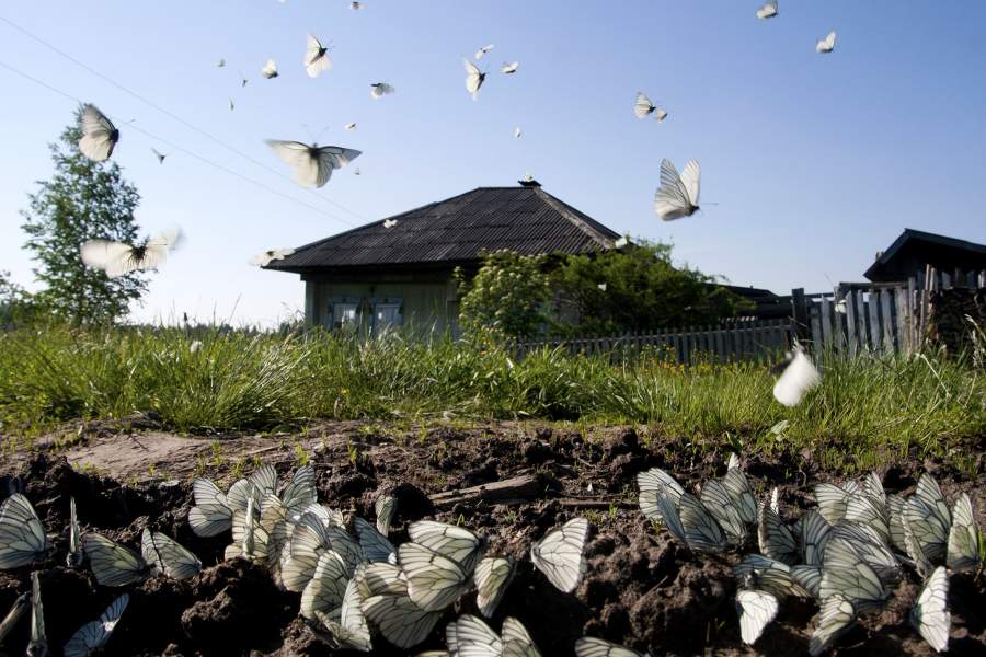 Алапаевская узкоколейная железная дорога