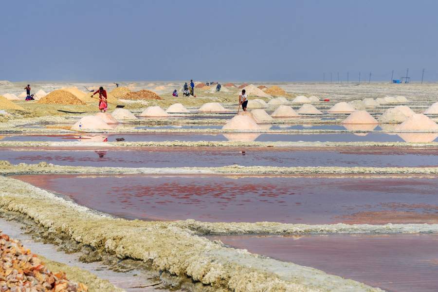 Добыча соли на озере Самбхар