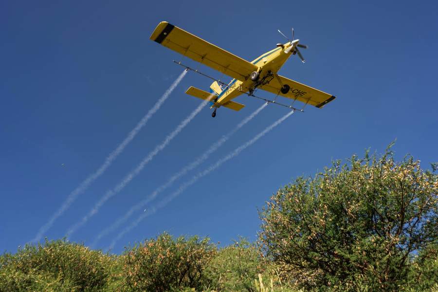 Нашествие саранчи в Африке