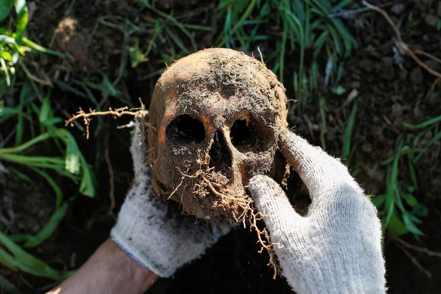 Работа поисковой группы на месте раскопок, где были найдены останки красноармейцев, погибших во Второй мировой войне