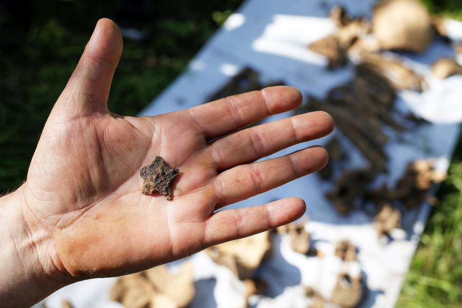 Работа поисковой группы на месте раскопок, где были найдены останки красноармейцев, погибших во Второй мировой войне