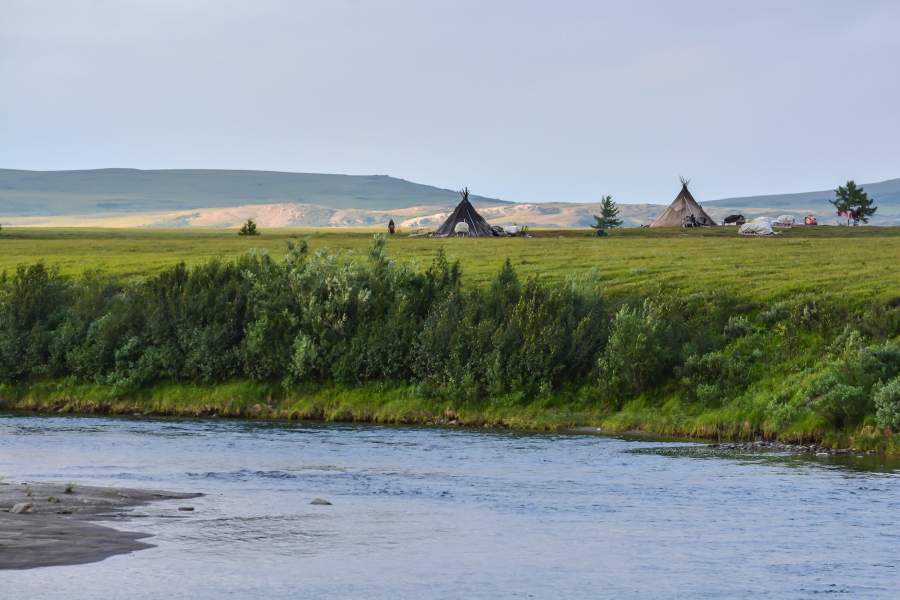 Летняя стоянка оленеводов (Ямал)