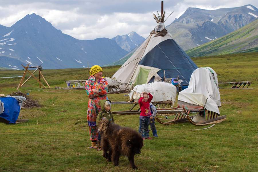 Летняя стоянка оленеводов (Ямал)