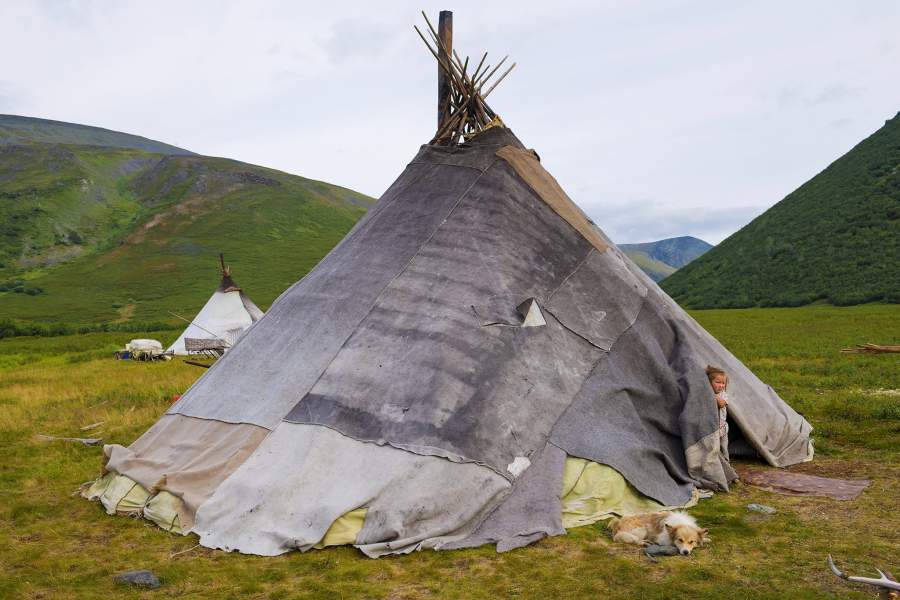 Летняя стоянка оленеводов (Ямал)