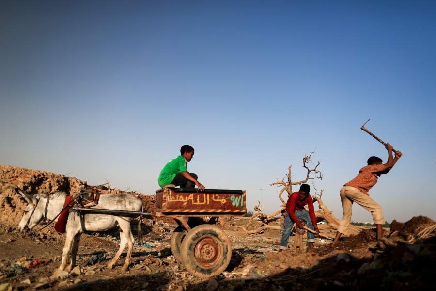 Жизнь на берегу Нила