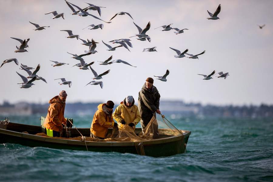 Прибрежный лов рыбы в Севастополе