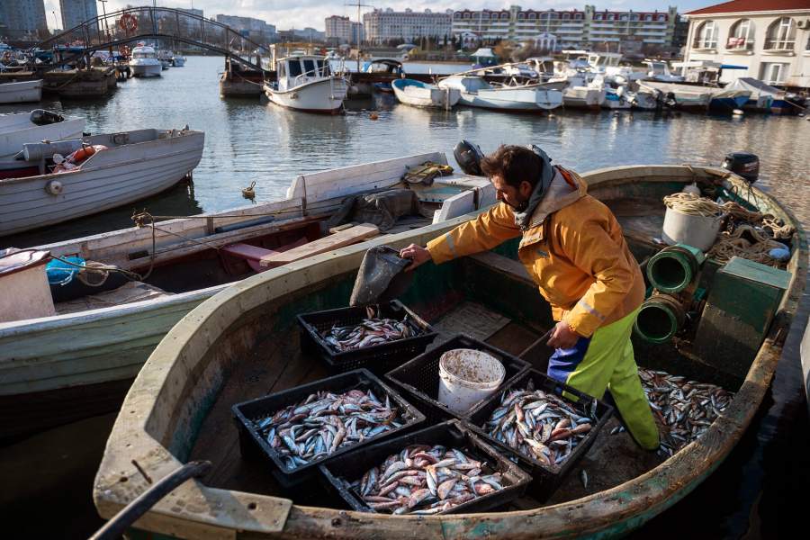 Прибрежный лов рыбы в Севастополе