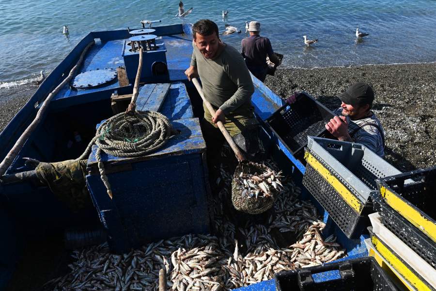 Ловля барабули в Сочи