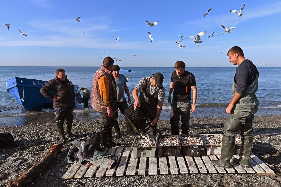 Ловля барабули в Сочи
