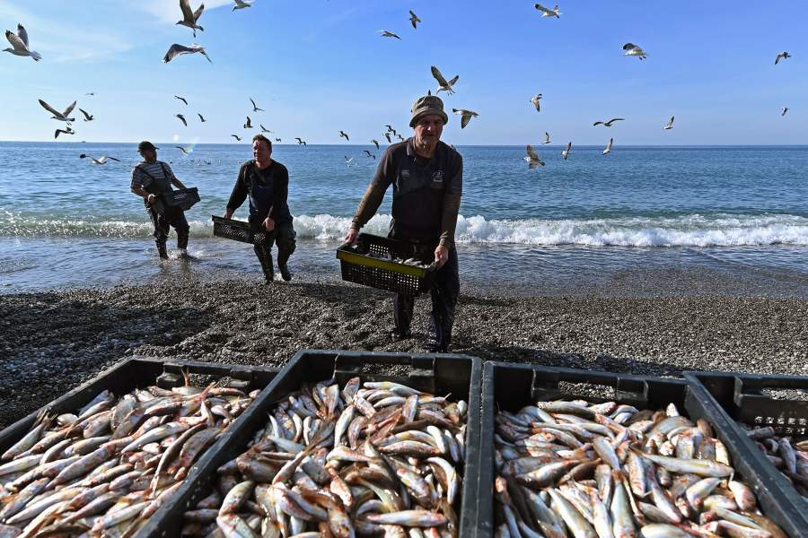 Ловля барабули в Сочи