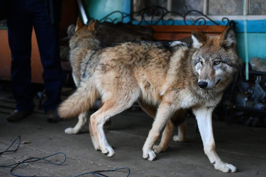 Село Алыгджер в Иркутской области