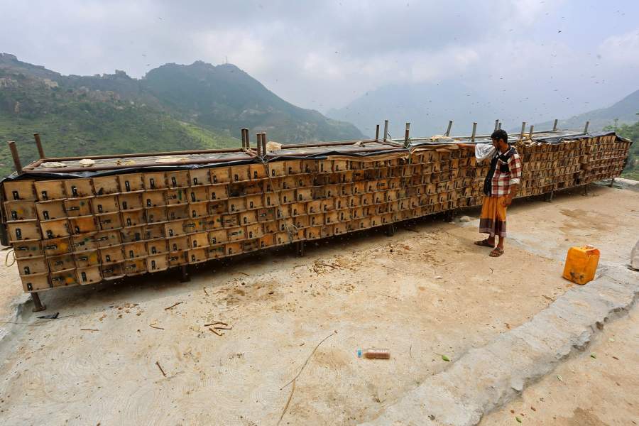 Гора Даламлам