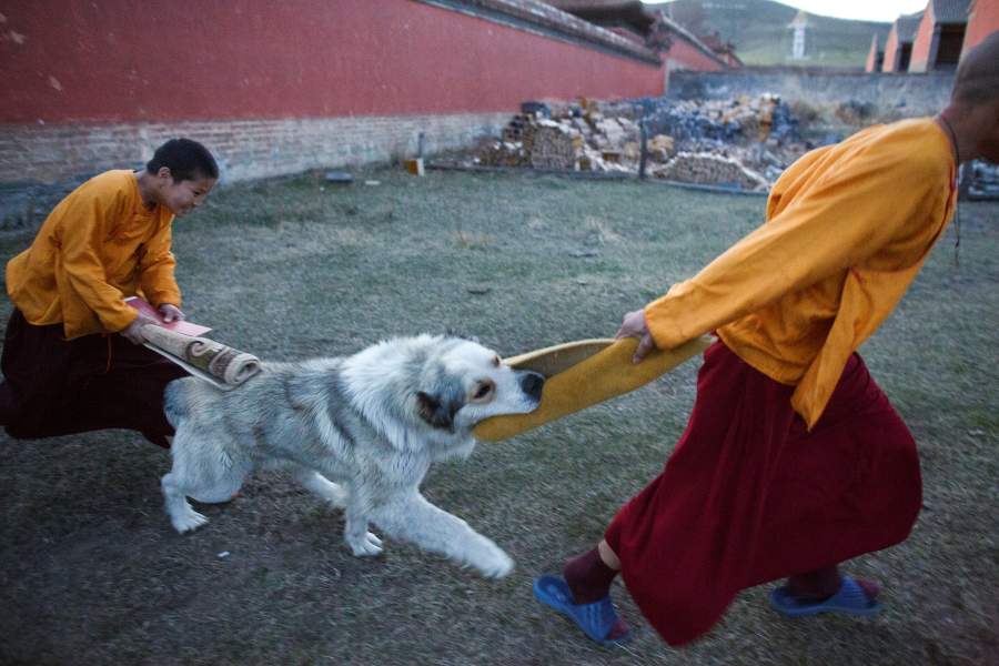 Буддизм в Монголии