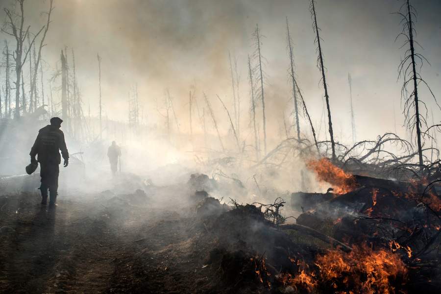 Лесные пожары в России