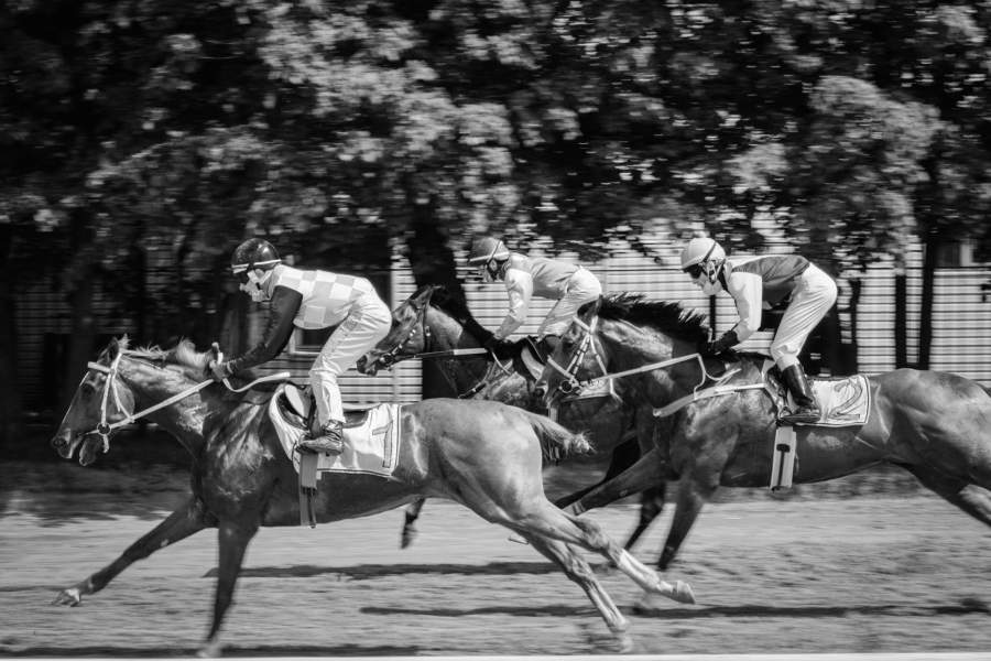 Московский ипподром