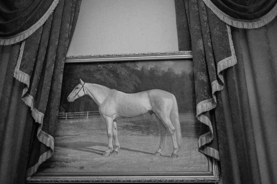 Московский ипподром