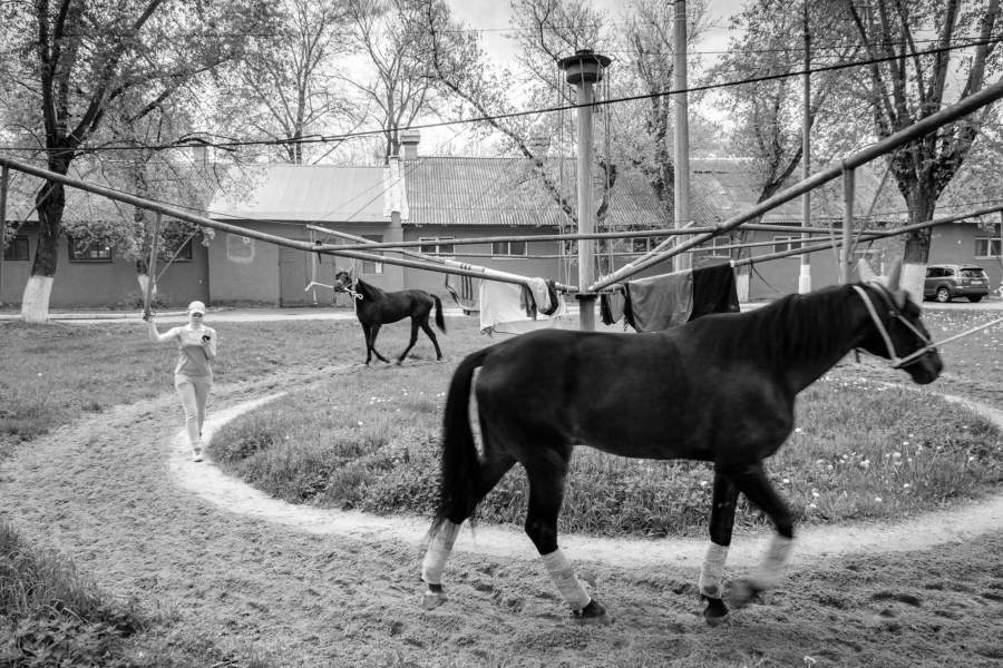 Московский ипподром