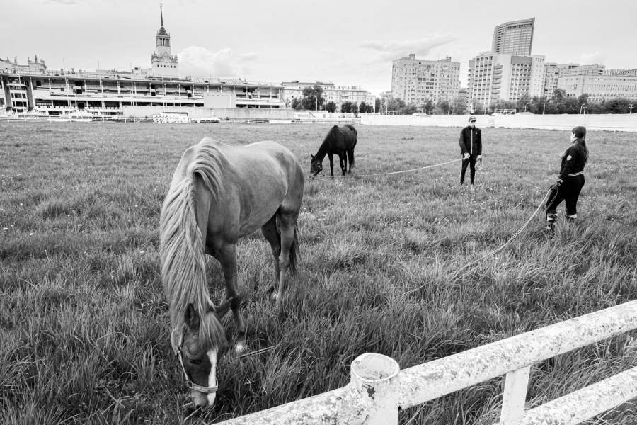 Московский ипподром