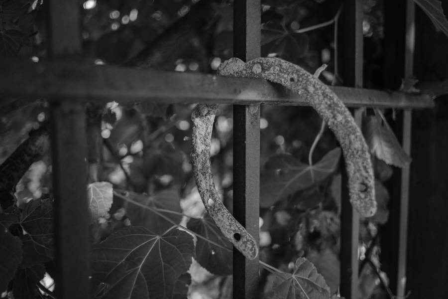 Московский ипподром