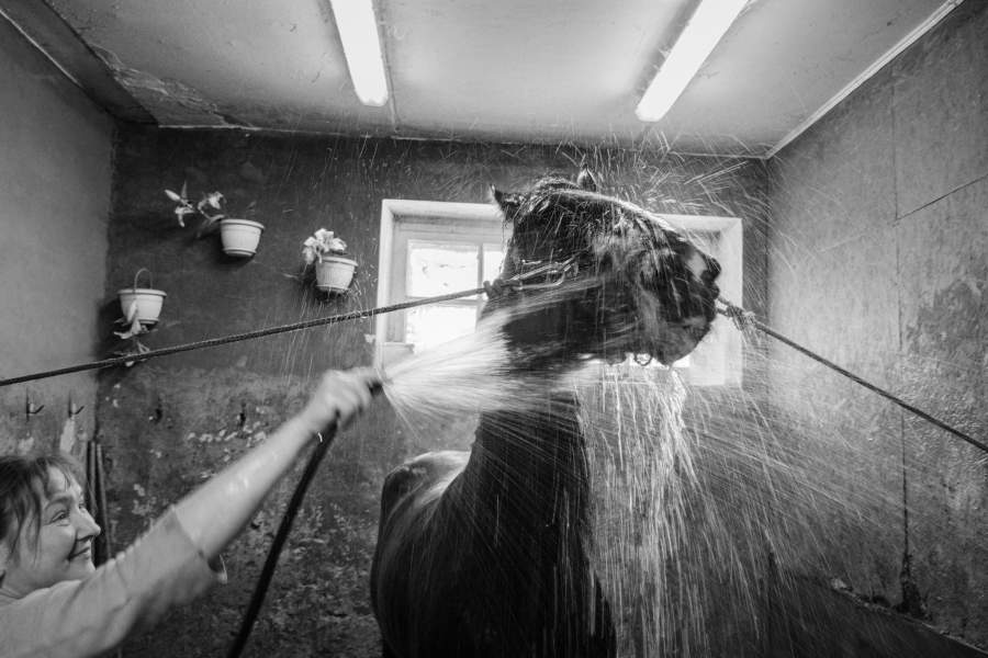 Московский ипподром