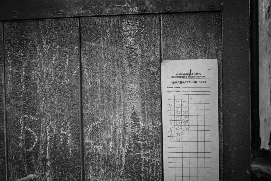 Московский ипподром