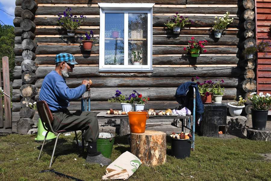 Сбор грибов в селе Юрт-Акбалык