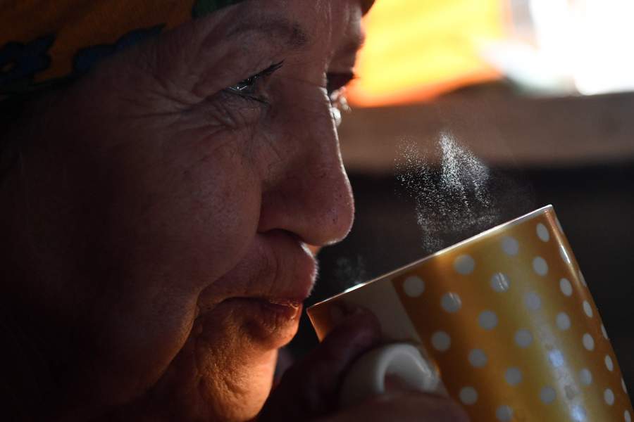 Сбор грибов в селе Юрт-Акбалык