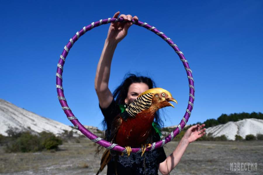 Crimean Fashion Week