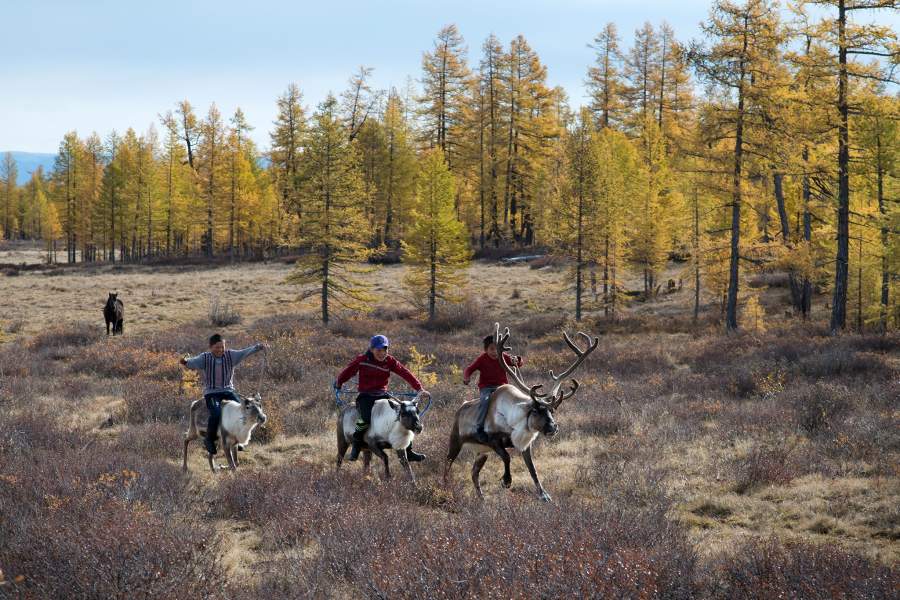 Кочевники цаатане 