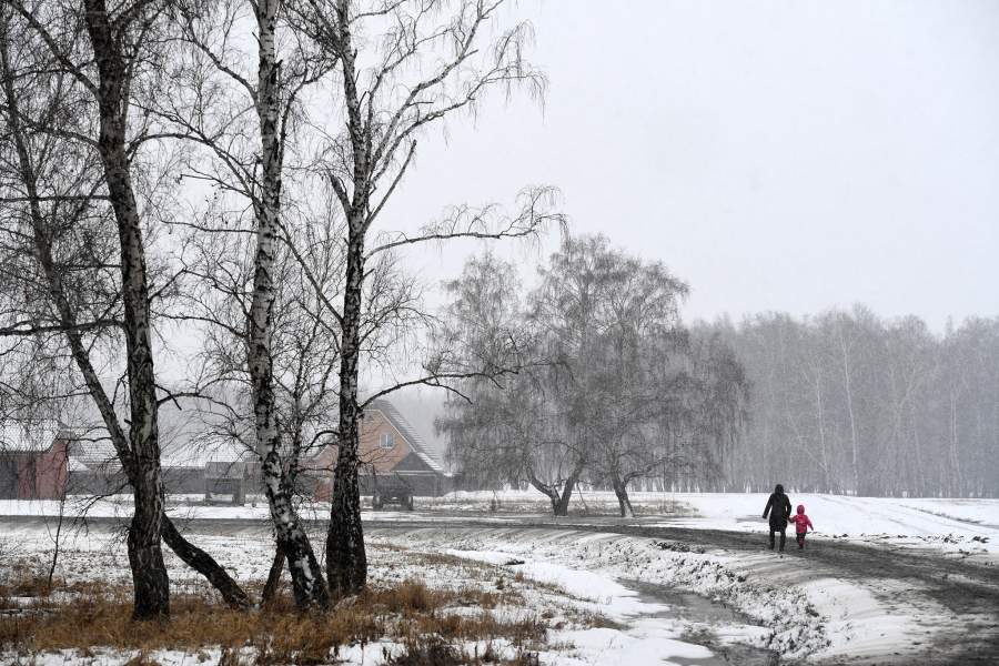 Деревня Аполлоновка