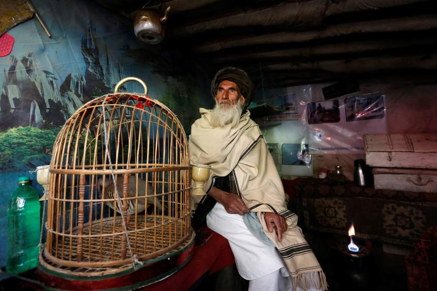 Птичий рынок в Кабуле
