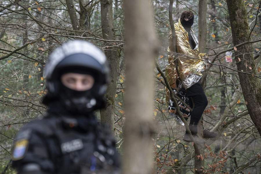 Протестующий на дереве 