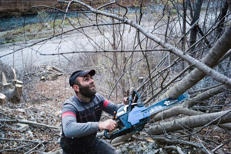 Мужчина спиливает деревья