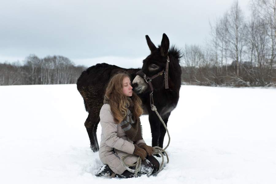 Лиза на прогулке с ослицей.