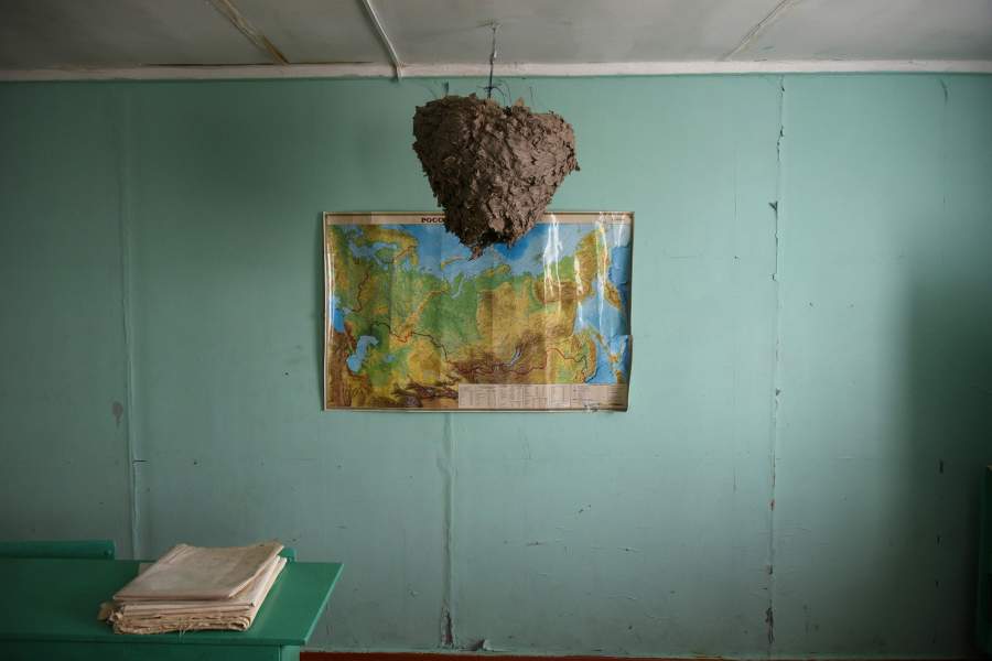 В кабинете биологии собранные со всех уголков родного села экспонаты. Гнездо шершня, найденное в лесу, ребята подвесили к потолку